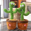 Cute Dancing and Talking Cactus Toy - Imported™